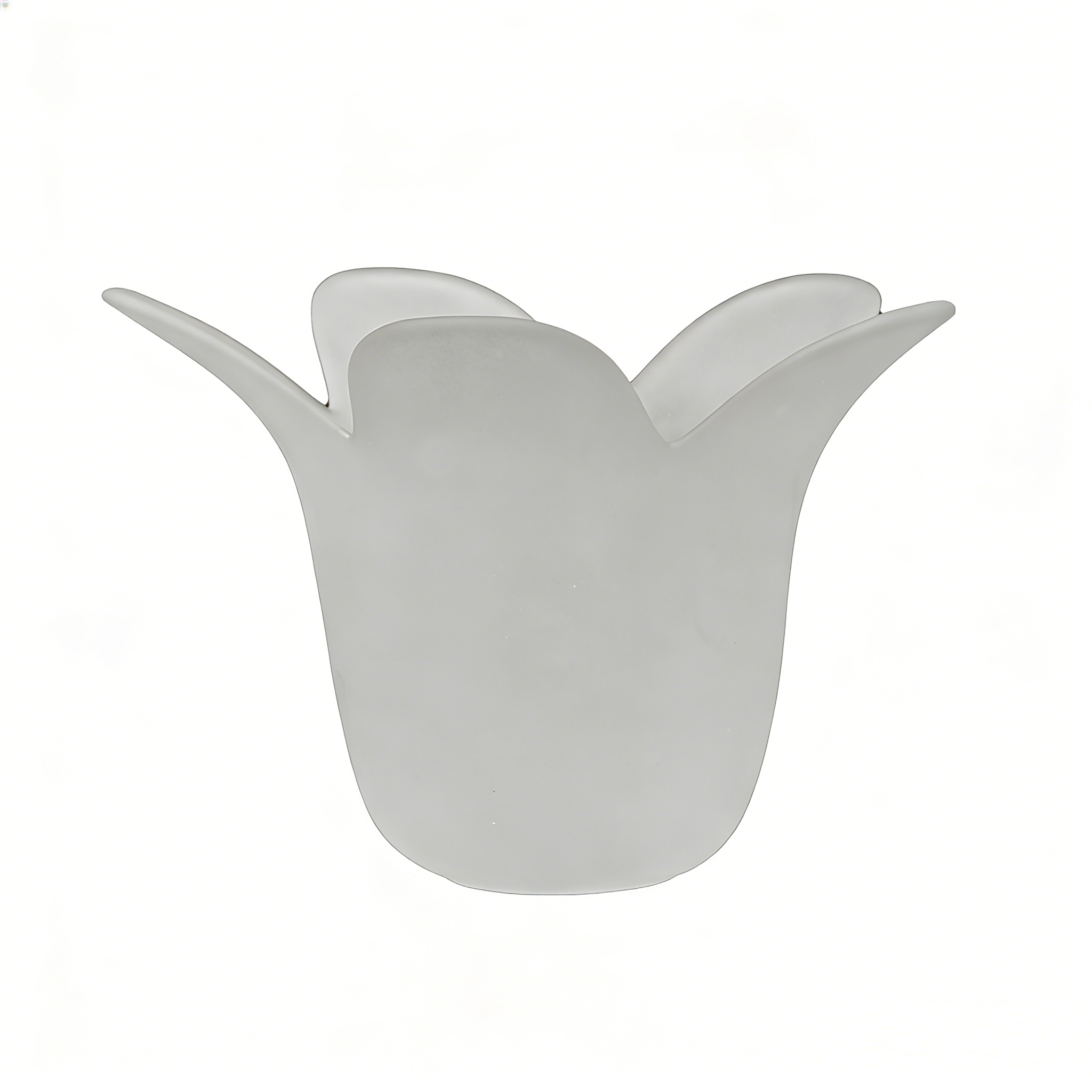 Clear Frosted Glass Lamp Cover