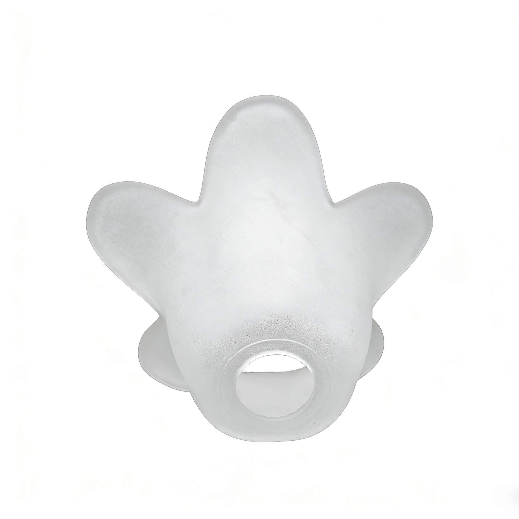 Clear Frosted Glass Lamp Cover - Image 2
